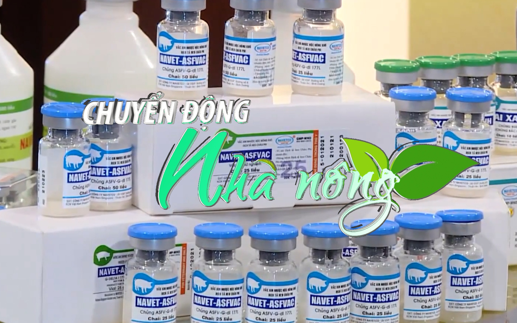 Chuyển động Nhà nông 25/12: Đã sản xuất được 4,5 triệu liều vắc xin phòng dịch tả lợn châu Phi