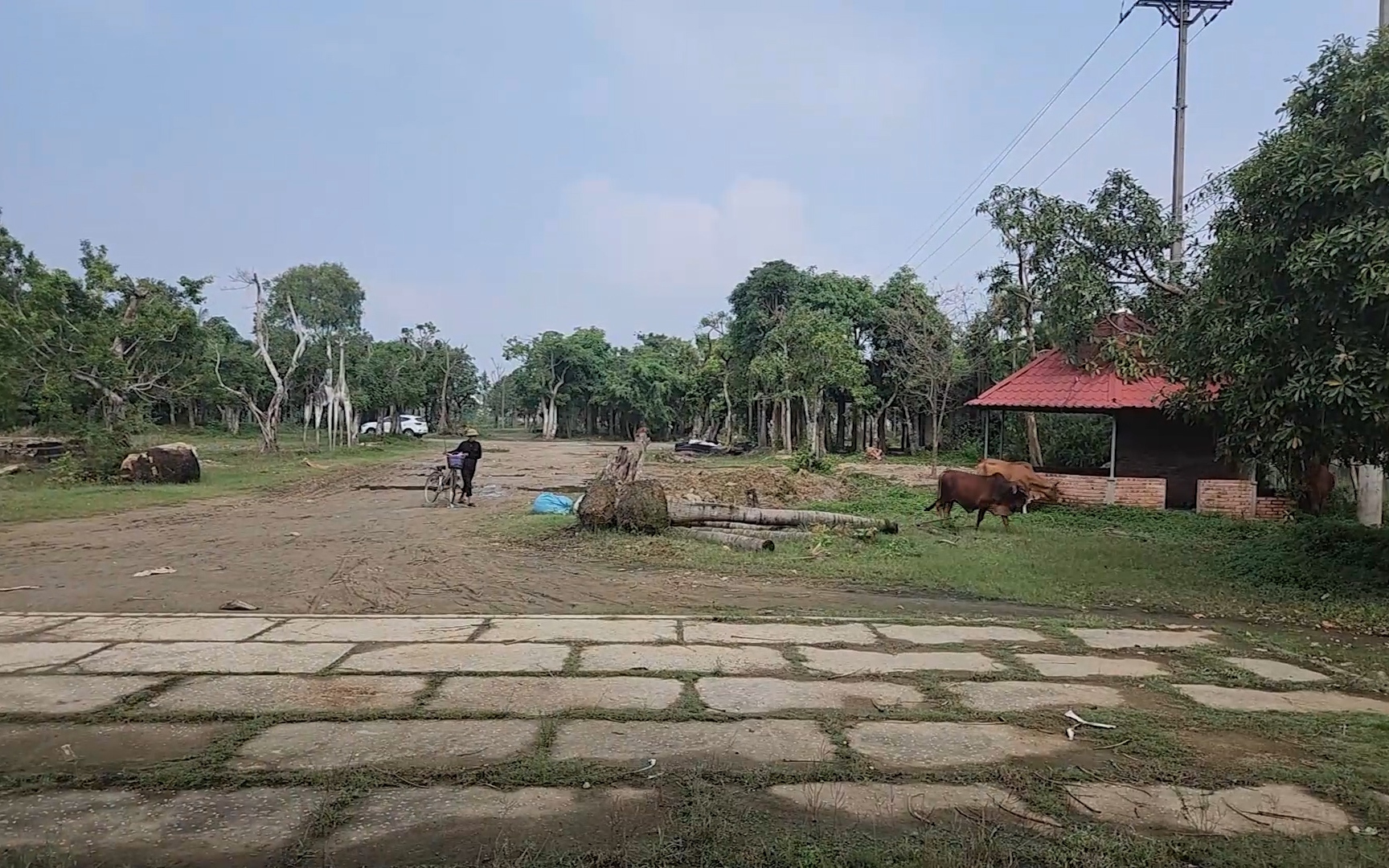 Hà Tĩnh: Dự án gần 26 tỷ ở khu đất “vàng” thành nơi chăn thả trâu bò