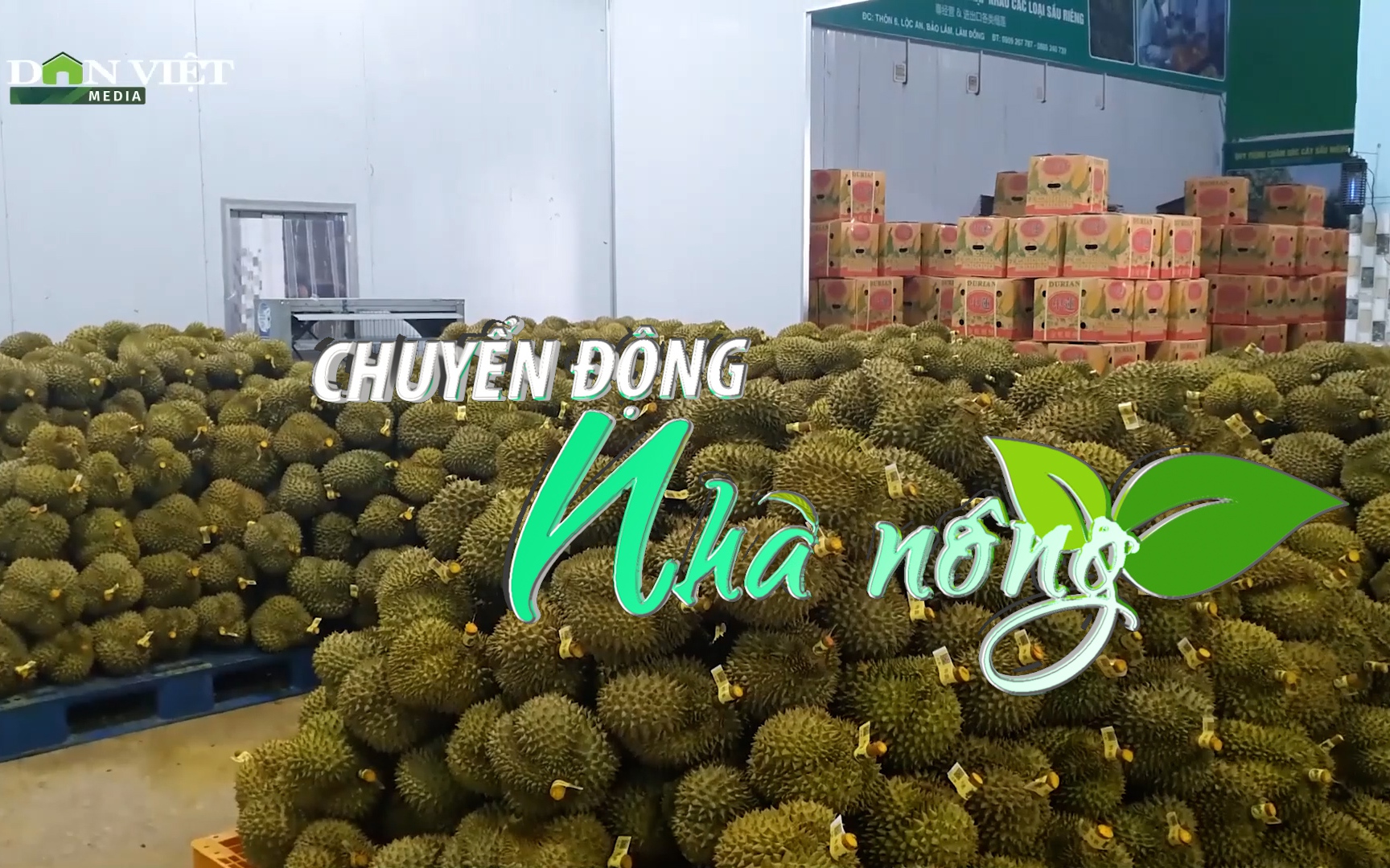 Chuyển động Nhà nông 01/3: Trung Quốc thêm 230 mã số vùng trồng, cơ sở đóng gói sầu riêng của Việt Nam