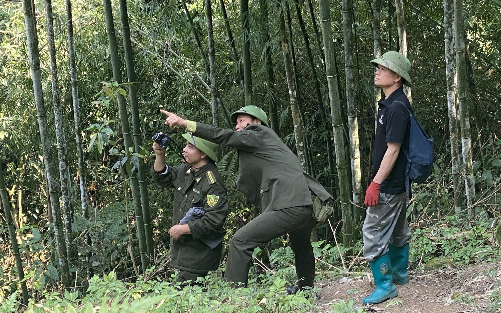 Trồng gỗ quý tại khu Bảo tồn thiên nhiên Kim Hỷ, bà con vừa bảo vệ rừng, vừa phát triển kinh tế