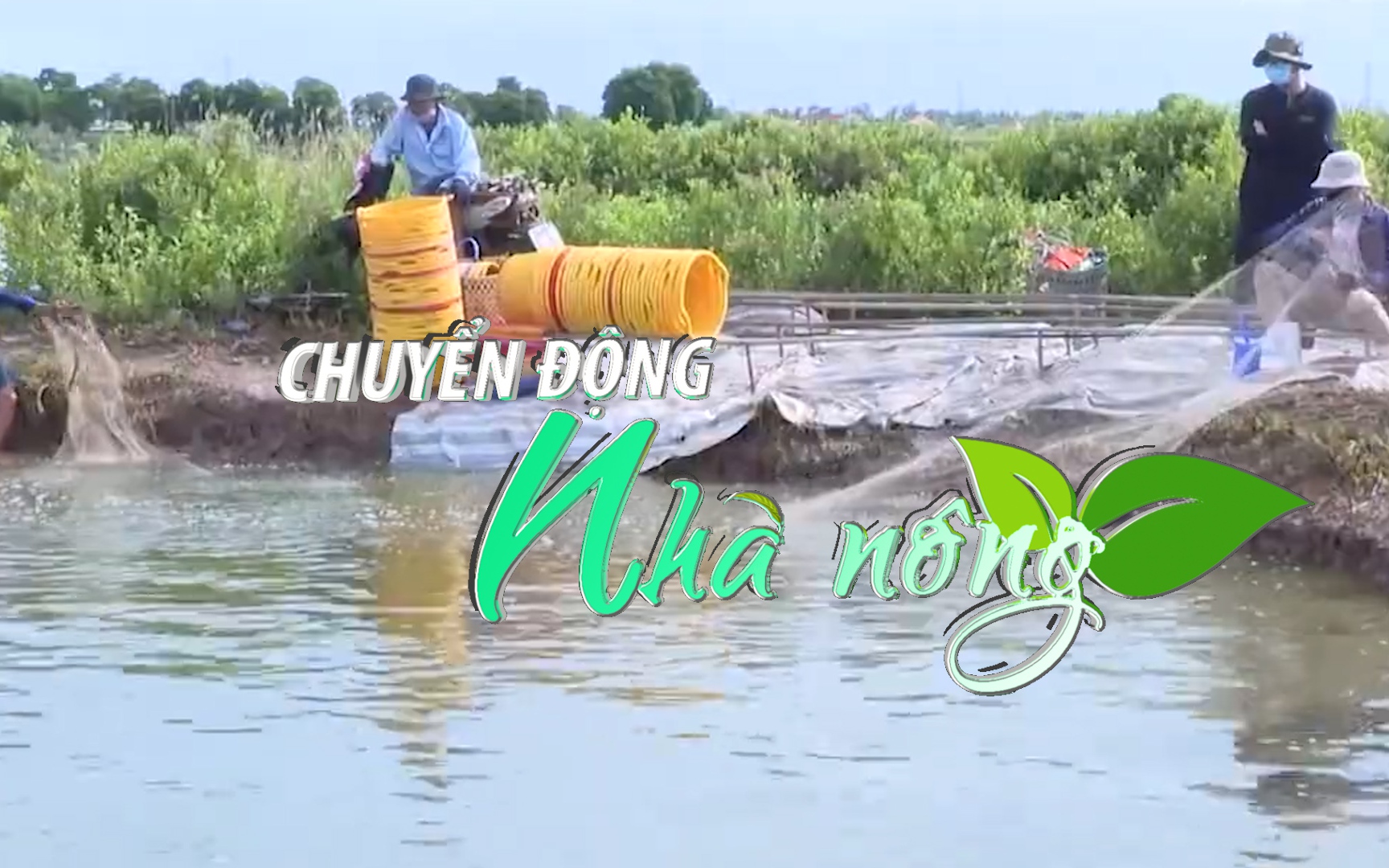 Chuyển động Nhà nông 8/3: Người nuôi tôm miền Tây “treo” ao vì lo dịch bệnh