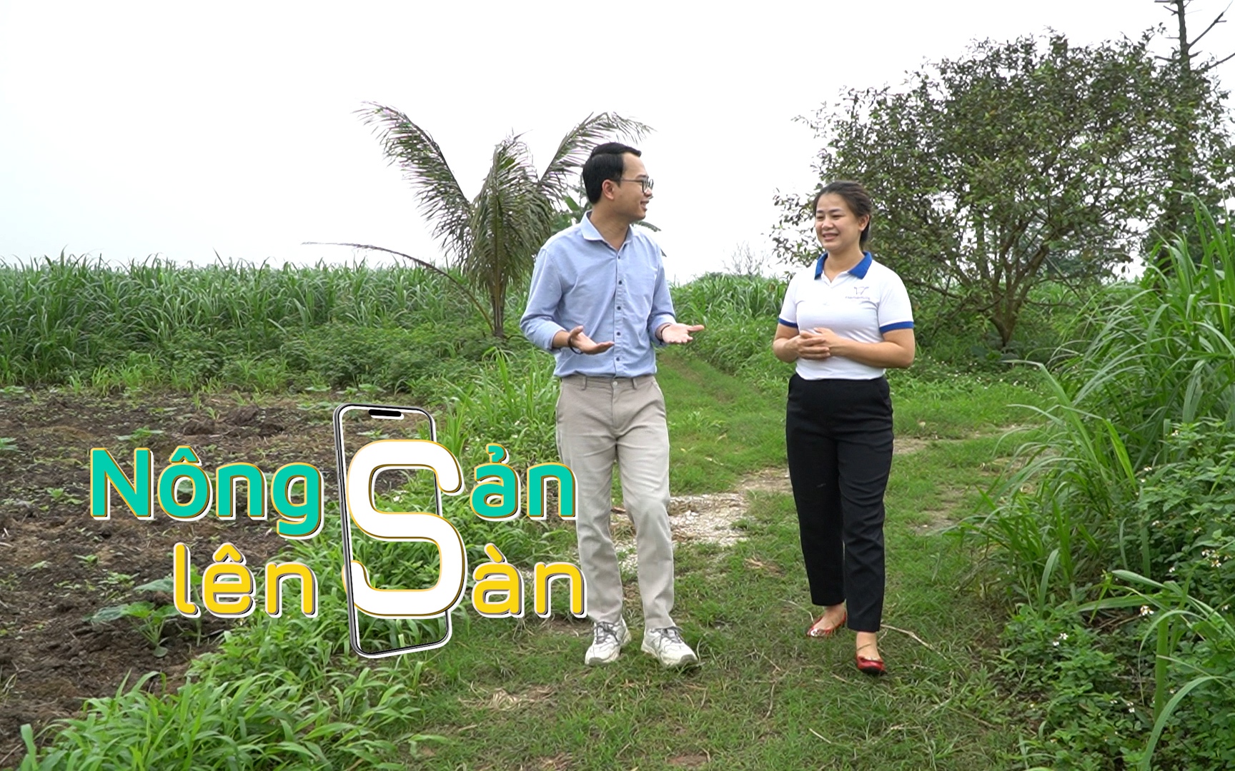 NÔNG SẢN LÊN SÀN: Về Hà Nam tìm dòng sữa ngọt lành