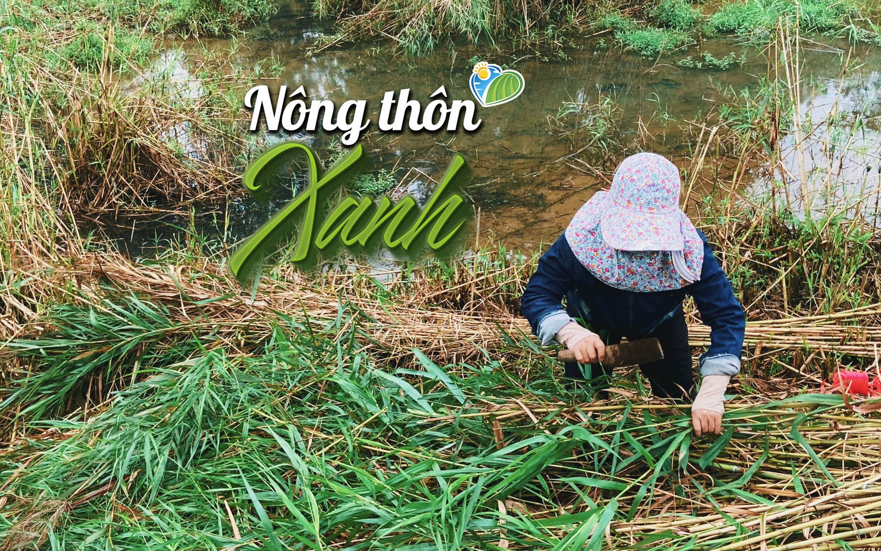 NÔNG THÔN XANH: Biến loại cây bỏ đi thành những sản phẩm xanh thân thiện môi trường