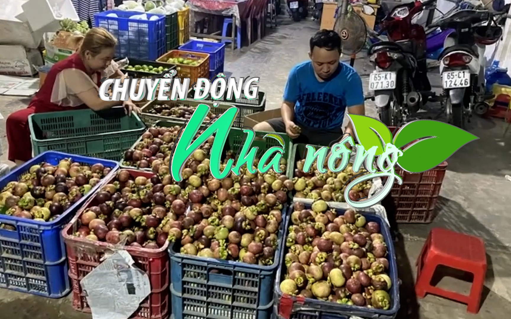 Chuyển động Nhà nông 29/5: Măng cụt giảm giá từng giờ sau “cơn sốt” gỏi gà măng cụt xanh