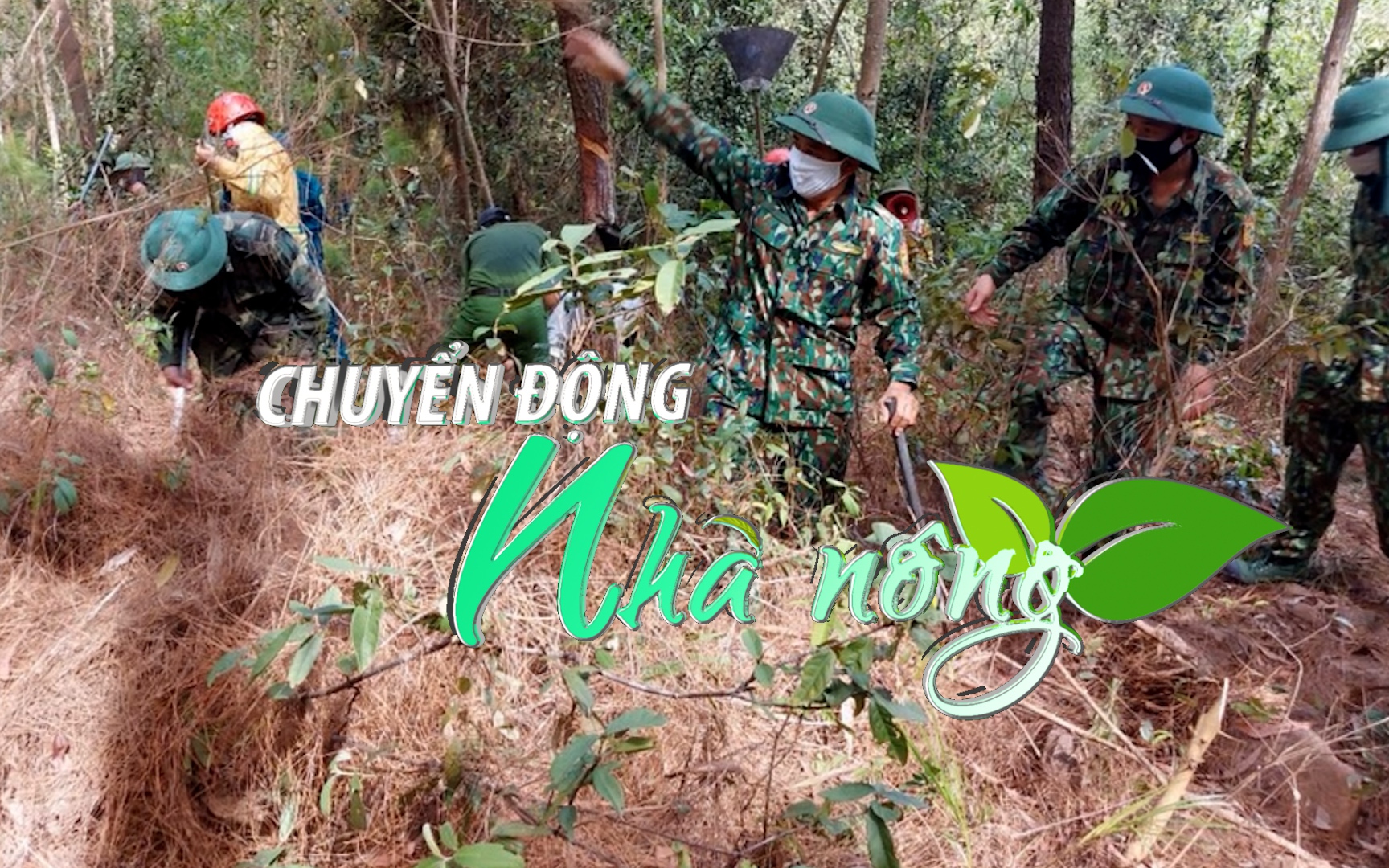 Chuyển động Nhà nông 5/5: Nghệ An tập trung thu dọn thực bì giảm thiểu nguy cơ cháy rừng