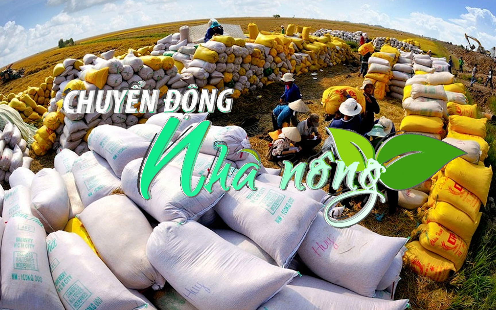 Chuyển động Nhà nông 14/8: Dành 7-8 triệu tấn gạo cho xuất khẩu