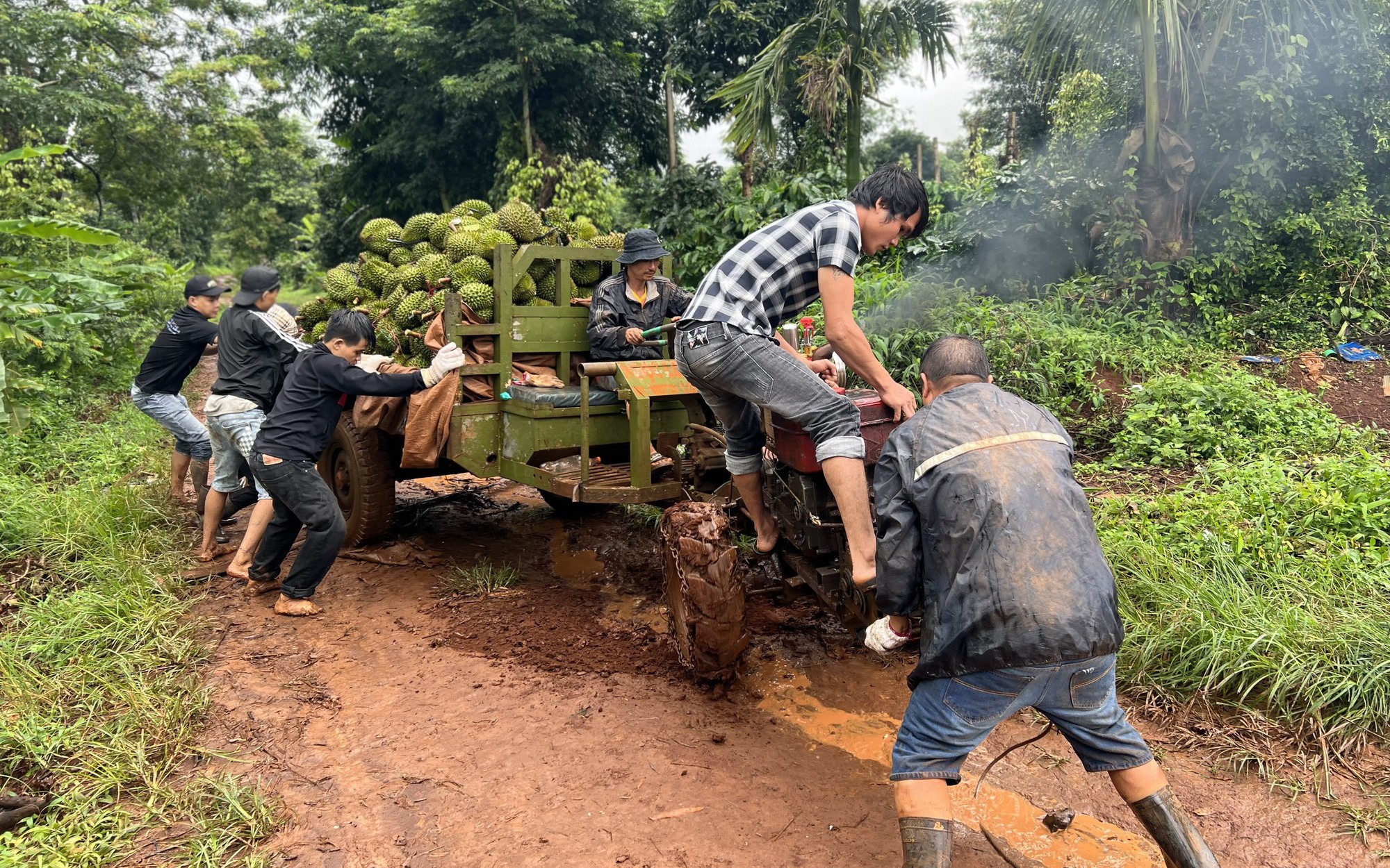 Cận cảnh người dân Đắk Lắk 