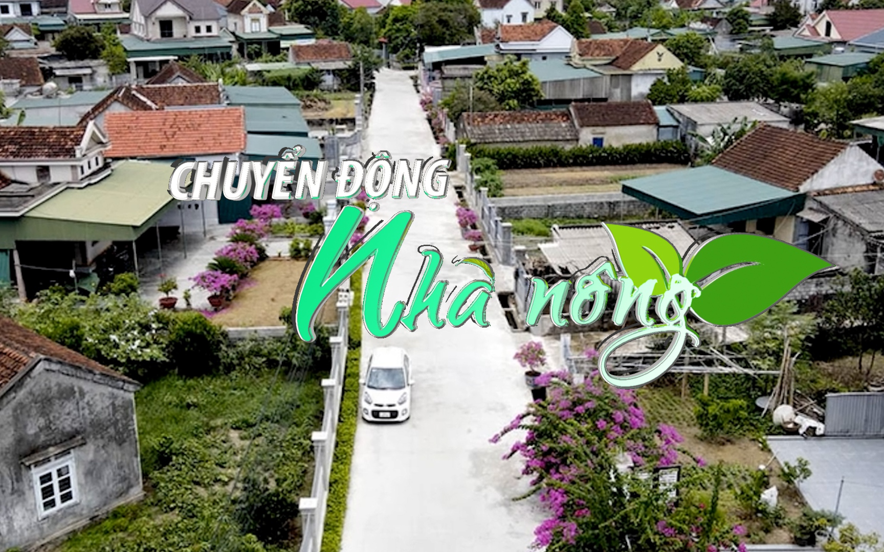 Chuyển động Nhà nông 17/9: Thị trường truyền thống khó khăn, doanh nghiệp gỗ mở đường đến Ấn Độ, Trung Đông