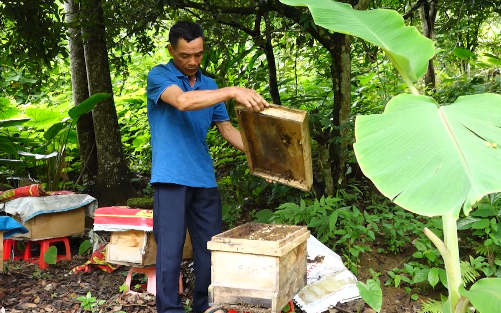 Nông dân Lai Châu giảm gánh nặng đầu tư, tăng thu nhập nhờ chính sách hỗ trợ sản xuất nông nghiệp