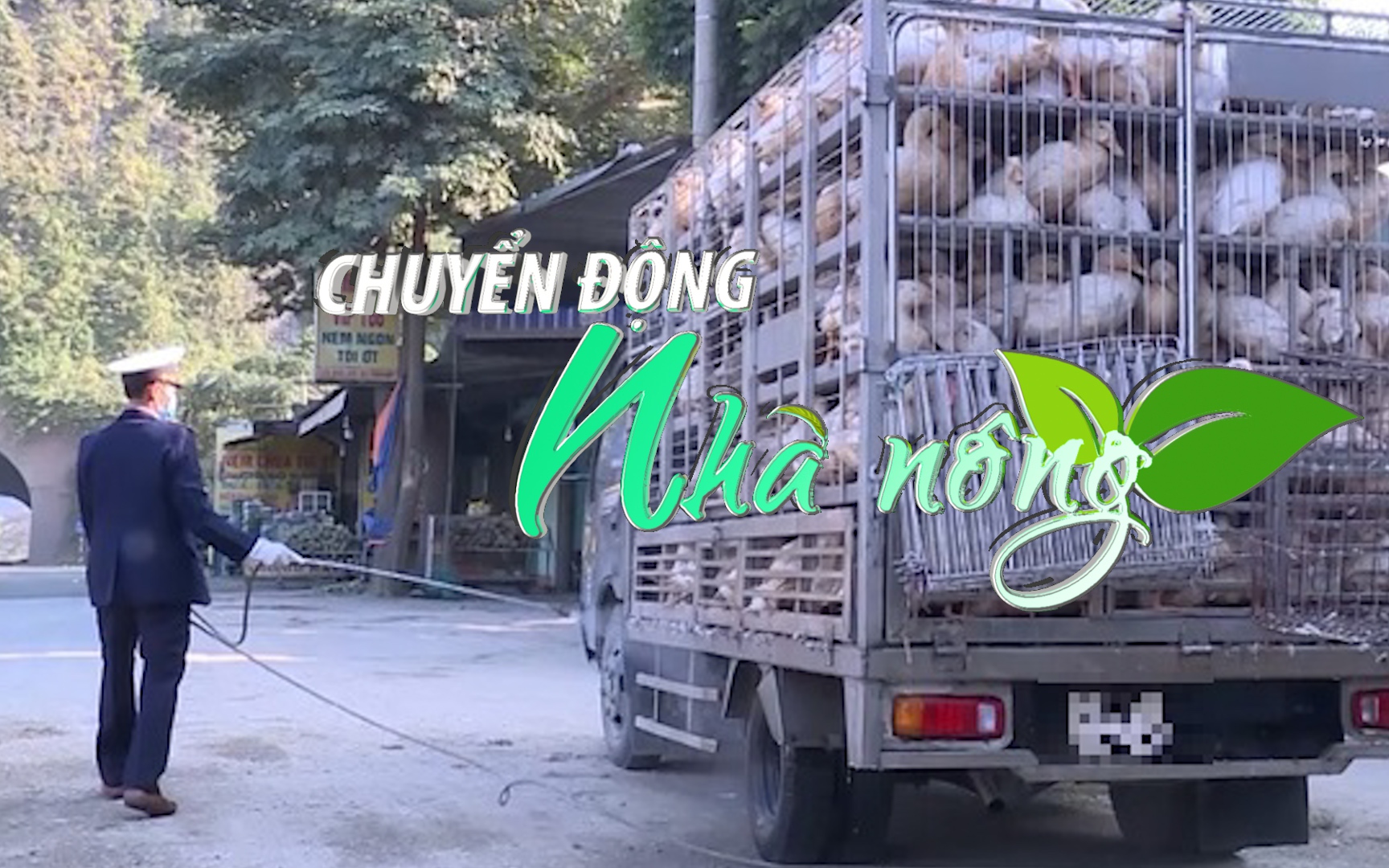 Chuyển động Nhà nông 19/9: Bộ Nông nghiệp đề nghị C05 lập chuyên án, xử lý nạn buôn bán gia cầm trái phép