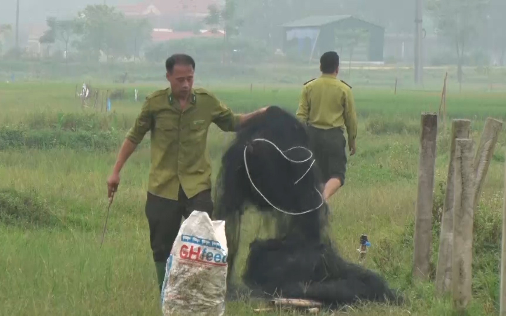 Phú Thọ: Cẩm Khê phá hủy nhiều cạm bẫy, giải cứu chim trời thoát nạn