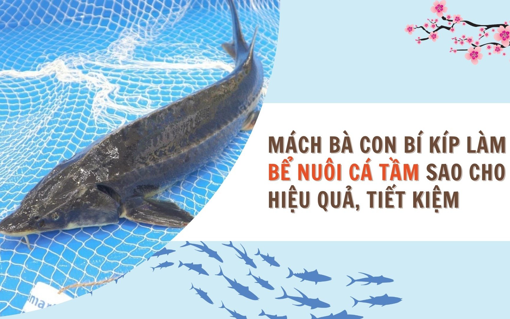 SỔ TAY NHÀ NÔNG: Mách bà con cách làm bể nuôi cá tầm sao cho hiệu quả, tiết kiệm