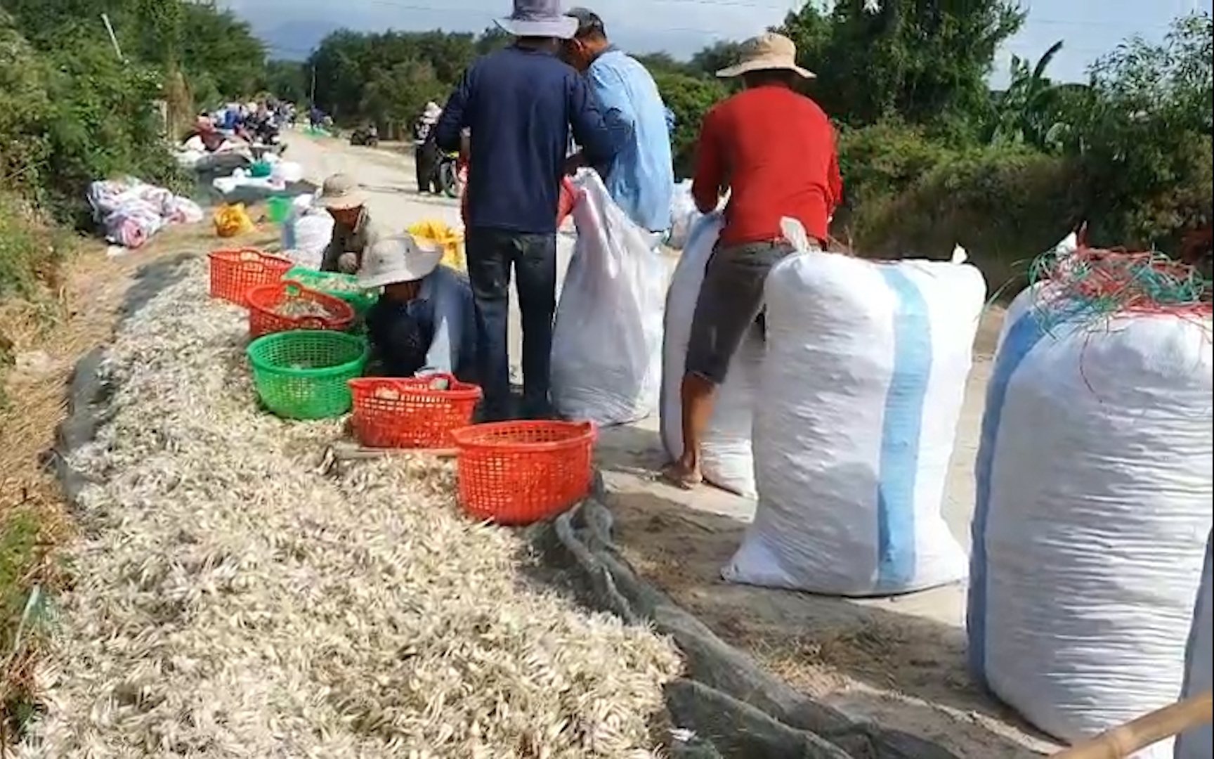 Nông dân Khánh Hòa lo 