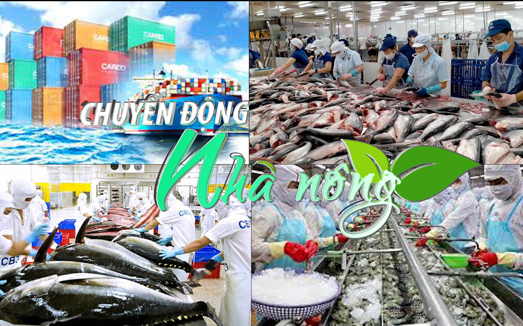 Chuyển động Nhà nông 2/1: Xuất khẩu thủy sản vẫn còn nhiều thách thức