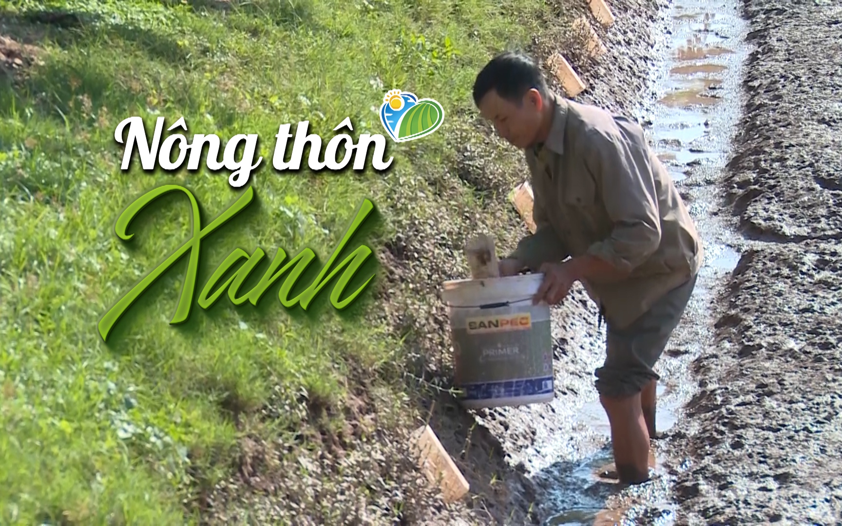 NÔNG THÔN XANH: Nông nghiệp hữu cơ xanh tại An Thanh, 