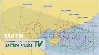 Bản tin Dân Việt TV 5/9: Bão số 3 mạnh cấp 15, giật trên cấp 17, cách đảo Hải Nam Trung Quốc 520km