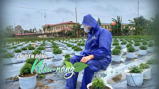 Chuyển động Nhà nông 8/11: Nông dân “chạy đua” khôi phục sản xuất sau mưa lũ