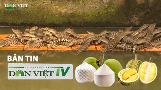 Bản tin Dân Việt TV 20/8: Sầu riêng đông lạnh, dừa tươi, cá sấu Việt Nam được xuất khẩu chính ngạch sang Trung Quốc