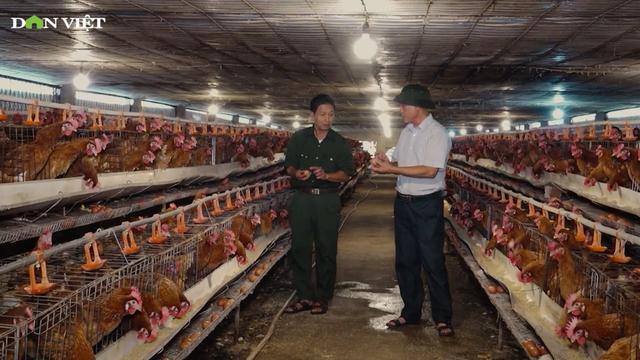 Hội Nông dân Ninh Bình tạo sức bật từ vốn hỗ trợ, lan tỏa mô hình kinh tế hiệu quả