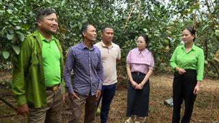 Hà Tĩnh: Lan tỏa phong trào xây dựng nông thôn mới từ công tác tuyên truyền của Hội Nông dân Hương Phố