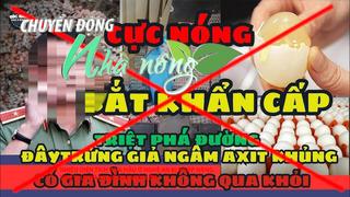 Chuyển động Nhà nông 20/5: Chuyên gia, doanh nghiệp lên tiếng phản bác vụ trứng gà giả là tin bịa đặt