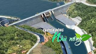 Chuyển động Nhà nông 28/11: Trồng mới 1.845 ha rừng để thực hiện dự án hồ Ka Pét