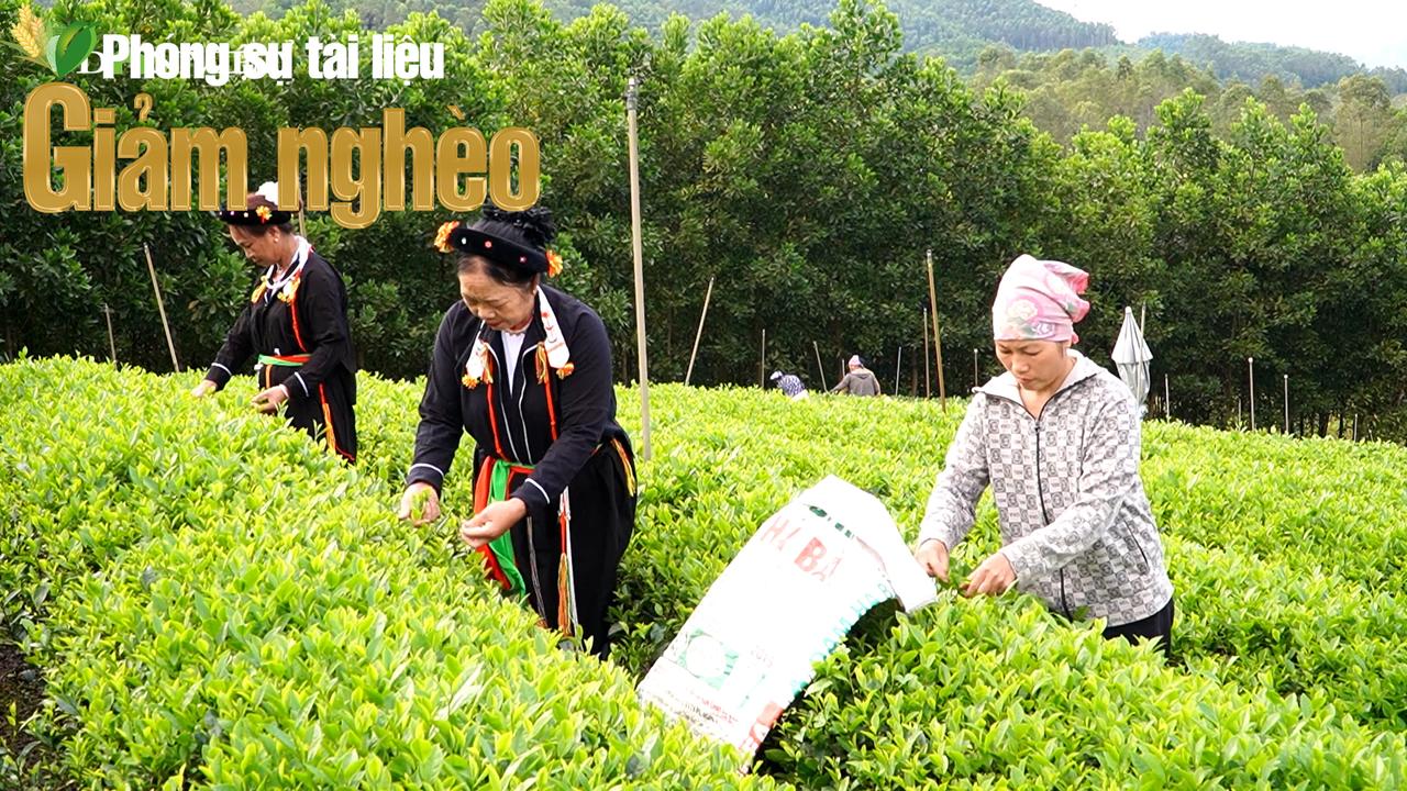 Dấu ấn giảm nghèo đa chiều từ “đánh thức” nội lực nông thôn ở Thành Công, Thái Nguyên