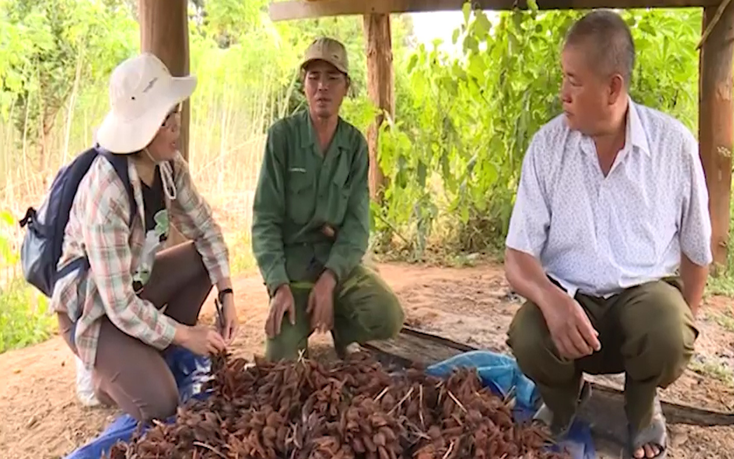 Mô hình giảm xung đột giữa voi và người, tạo sinh kế cho người dân vùng biên giới