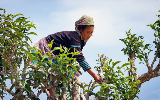 Địa hình hiểm trở, thiên tai rình rập, nhưng huyện vùng cao này đã thoát nghèo với sự phát triển bền vững