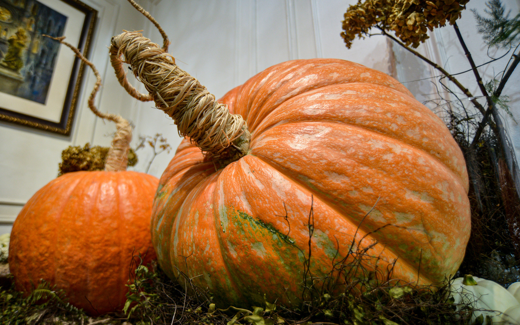 Bí ngô cả trăm kg, giá chục triệu đồng được người Hà Nội săn đón ngày Halloween