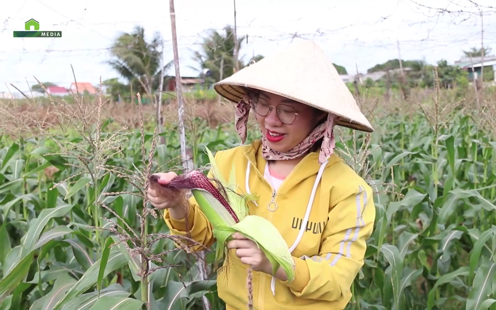 Thủ khoa Đại học gác chuyện du học trời Tây, về quê trồng giống bắp 