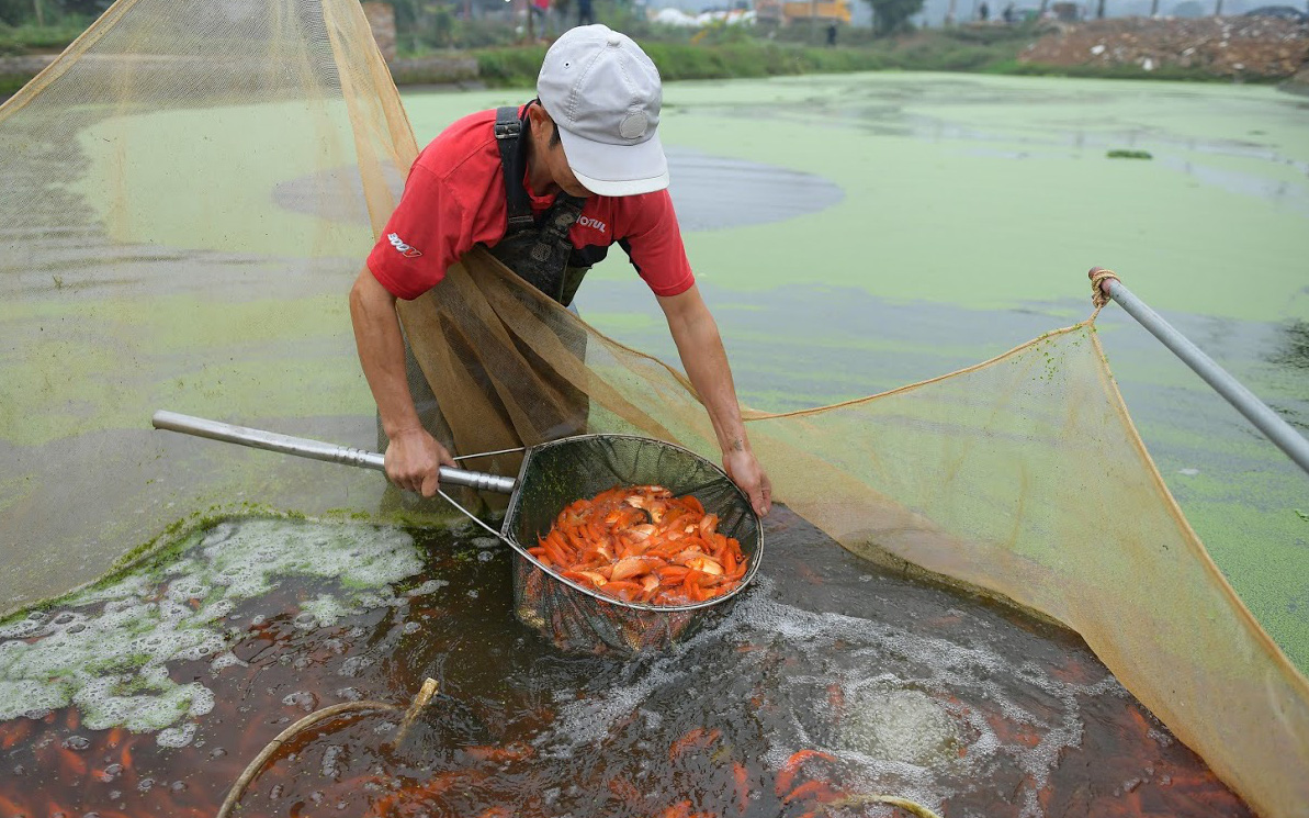 Người dân ở ngôi làng sản sinh 