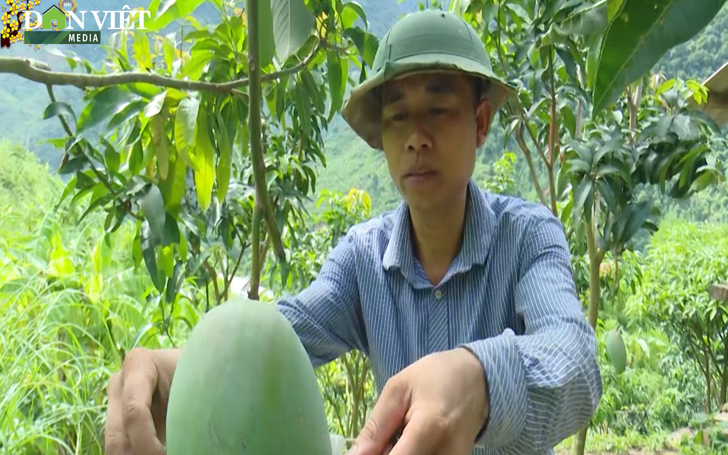 Màu xanh những thửa ruộng, vườn cây ươm mầm hy vọng ở vùng lũ lịch sử Nặm Păm  