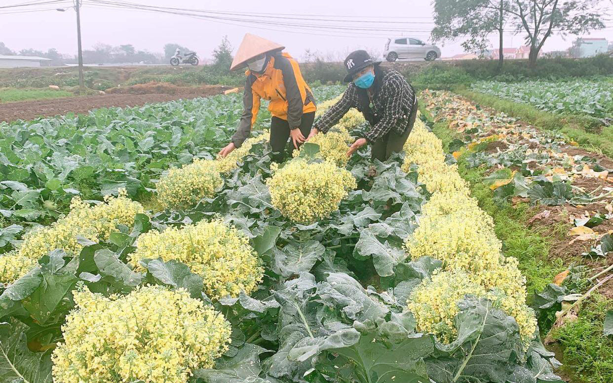 Độc đáo những bó hoa “chỉ nở mùa Covid-19” trước giờ gỡ lệnh phong tỏa ở Hải Dương 