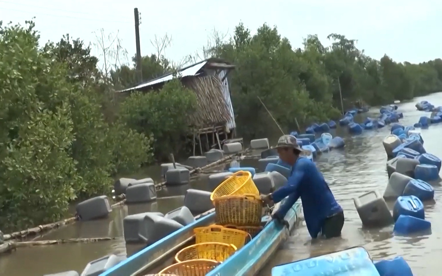 Làm giàu từ mô hình nuôi hàu bằng giàn bè thùng nhựa, mang lại hiệu quả kinh tế cao