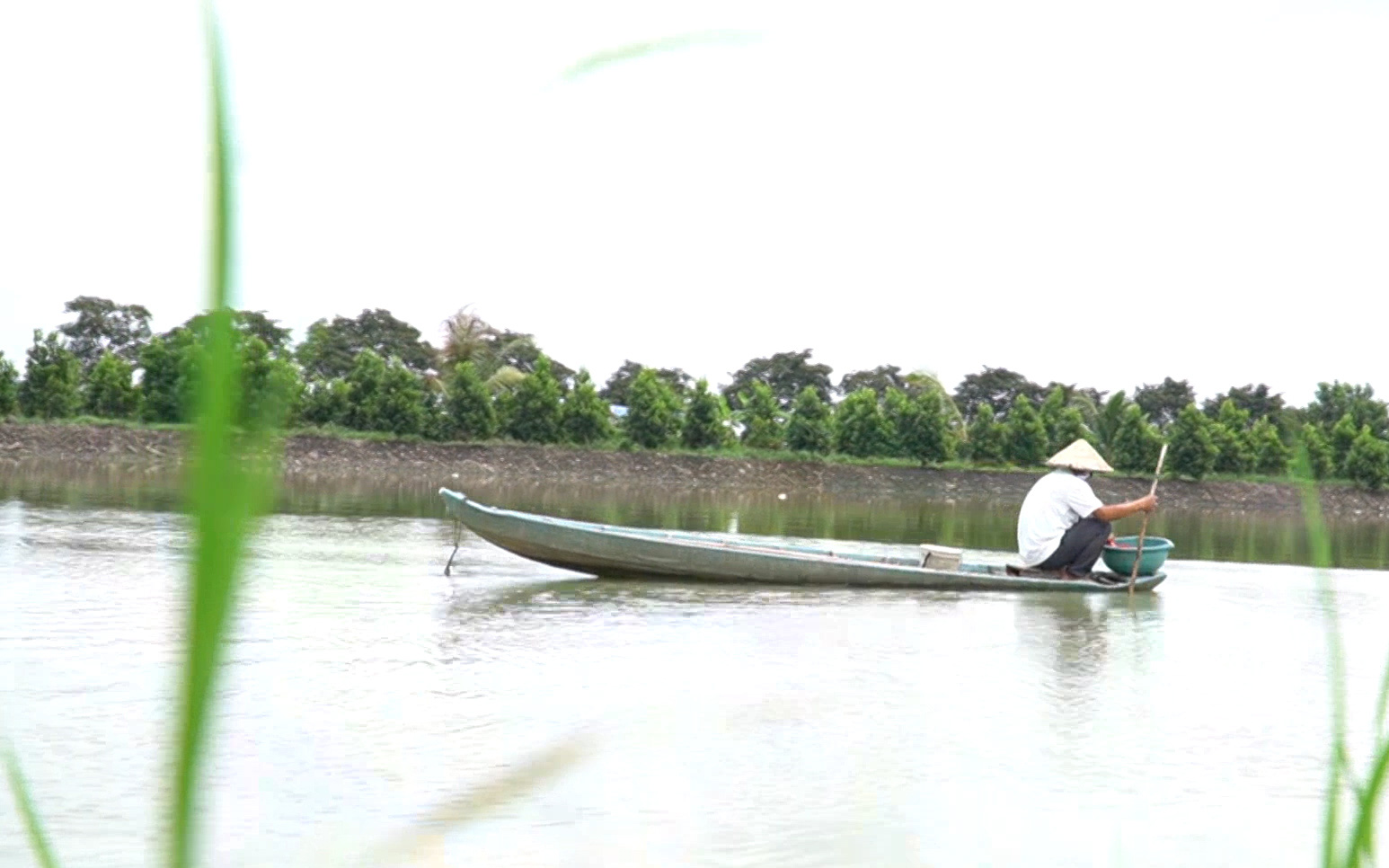 Đồng Tháp: Lão nông đi ngược xu thế, quyết định đầu tư thả nuôi tôm càng xanh cho hiệu quả cao