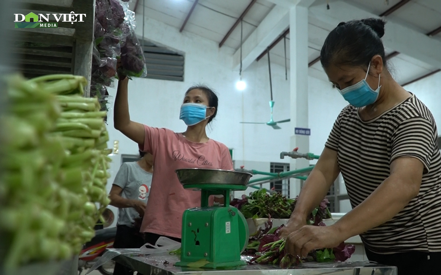 Chủ động liên kết sản xuất và tiêu thụ - Phương pháp cho nông dân tăng sức đề kháng trước “giải cứu nông sản”