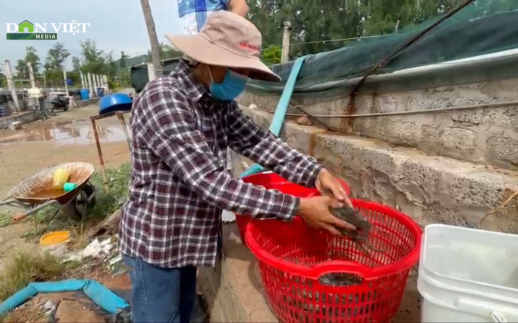 Biến nơi cát trắng thành “đất vàng” người nuôi tôm Nghi Lộc cộng sinh vượt khó