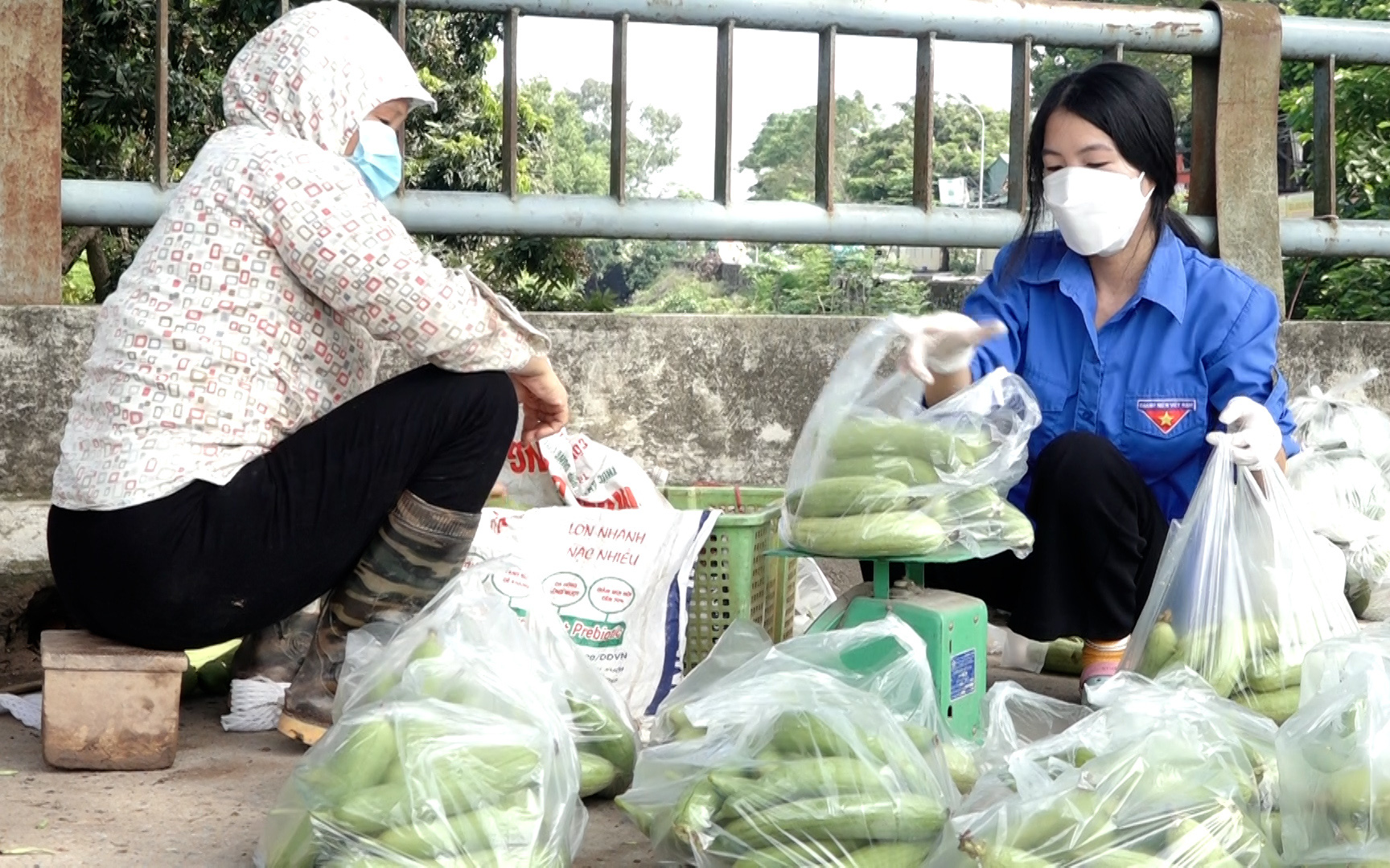 Hà Nội: Lập trăm tổ tiêu thụ nông sản, dân yên tâm sản xuất trong mùa dịch Covid-19