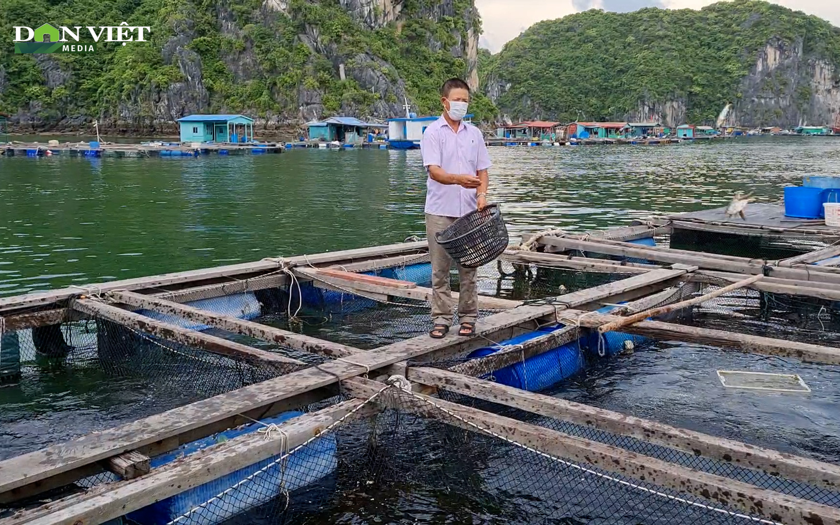 Tháo dỡ lồng bè trên các vịnh Cát Bà, việc cần làm, nhưng người dân còn nhiều băn khoăn