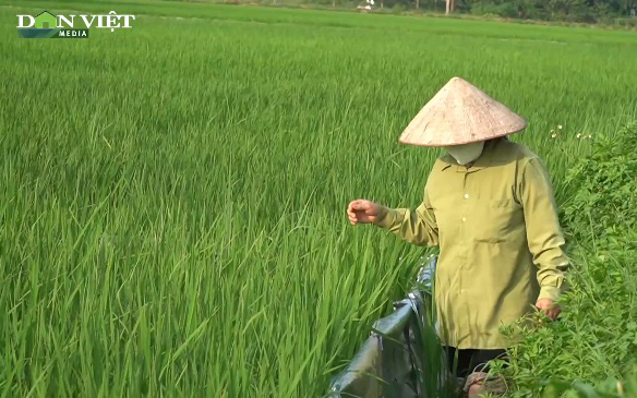 Nông dân Chương Mỹ biến sức ép kép thành mục tiêu kép (Kỳ 2): Kích hoạt 