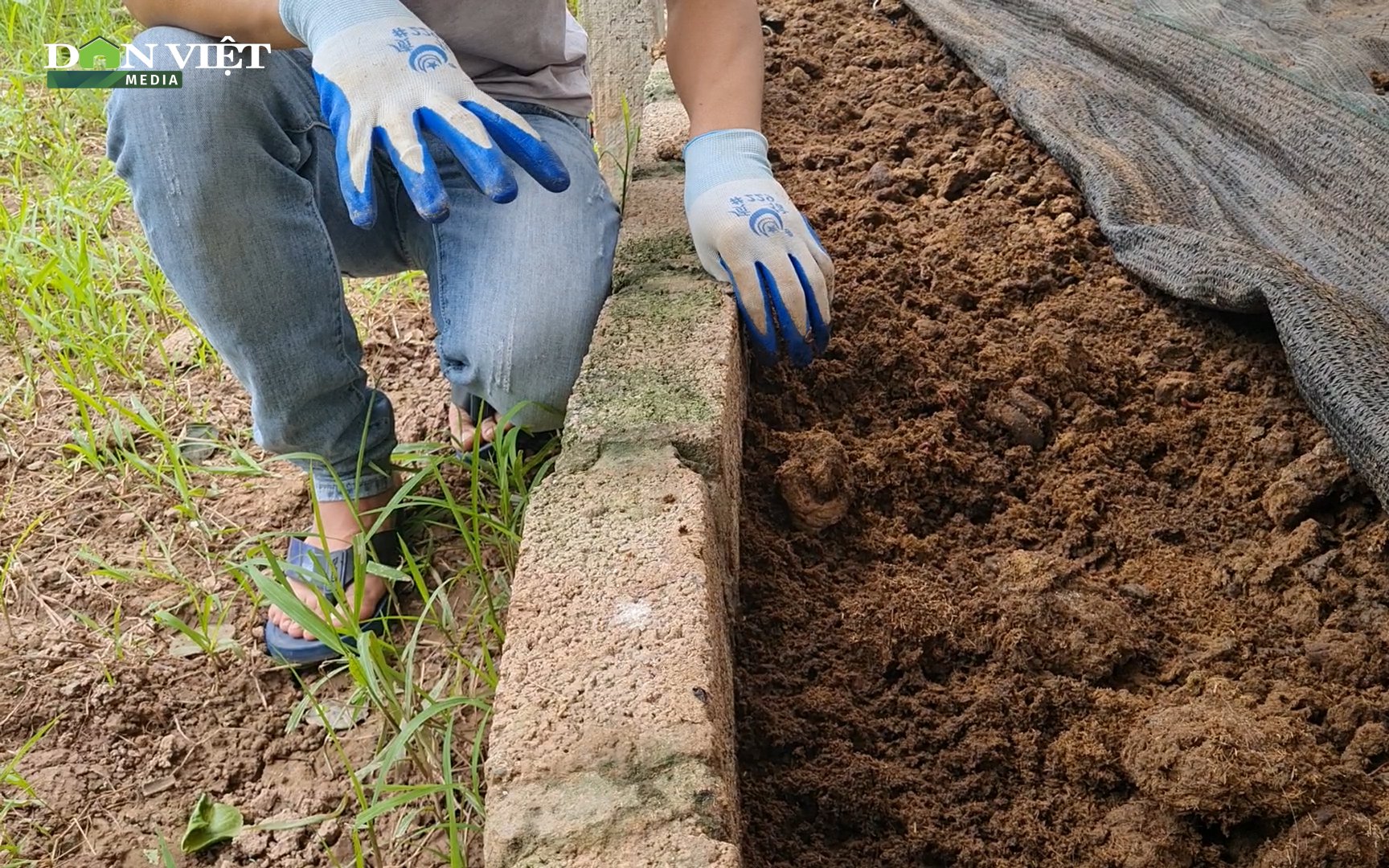 Bí quyết nuôi giun năng suất cao, tiết kiệm chi phí của triệu phú nông dân 9X
