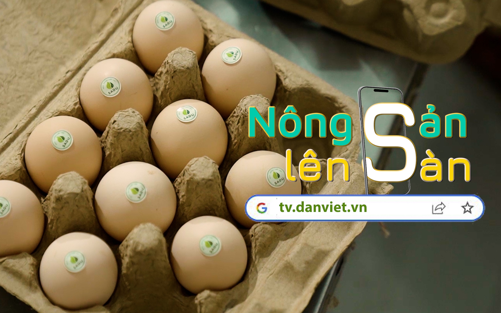 NÔNG SẢN LÊN SÀN: Mục sở thị nông trại gà 