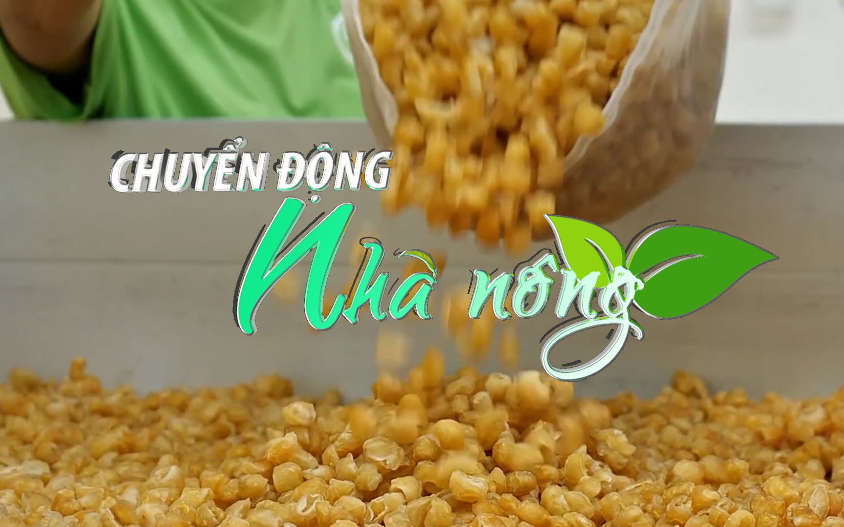 Chuyển động Nhà nông 02/10: Thái Lan đăng ký chỉ dẫn địa lý cho nhãn sấy vàng Lamphun tại Việt Nam