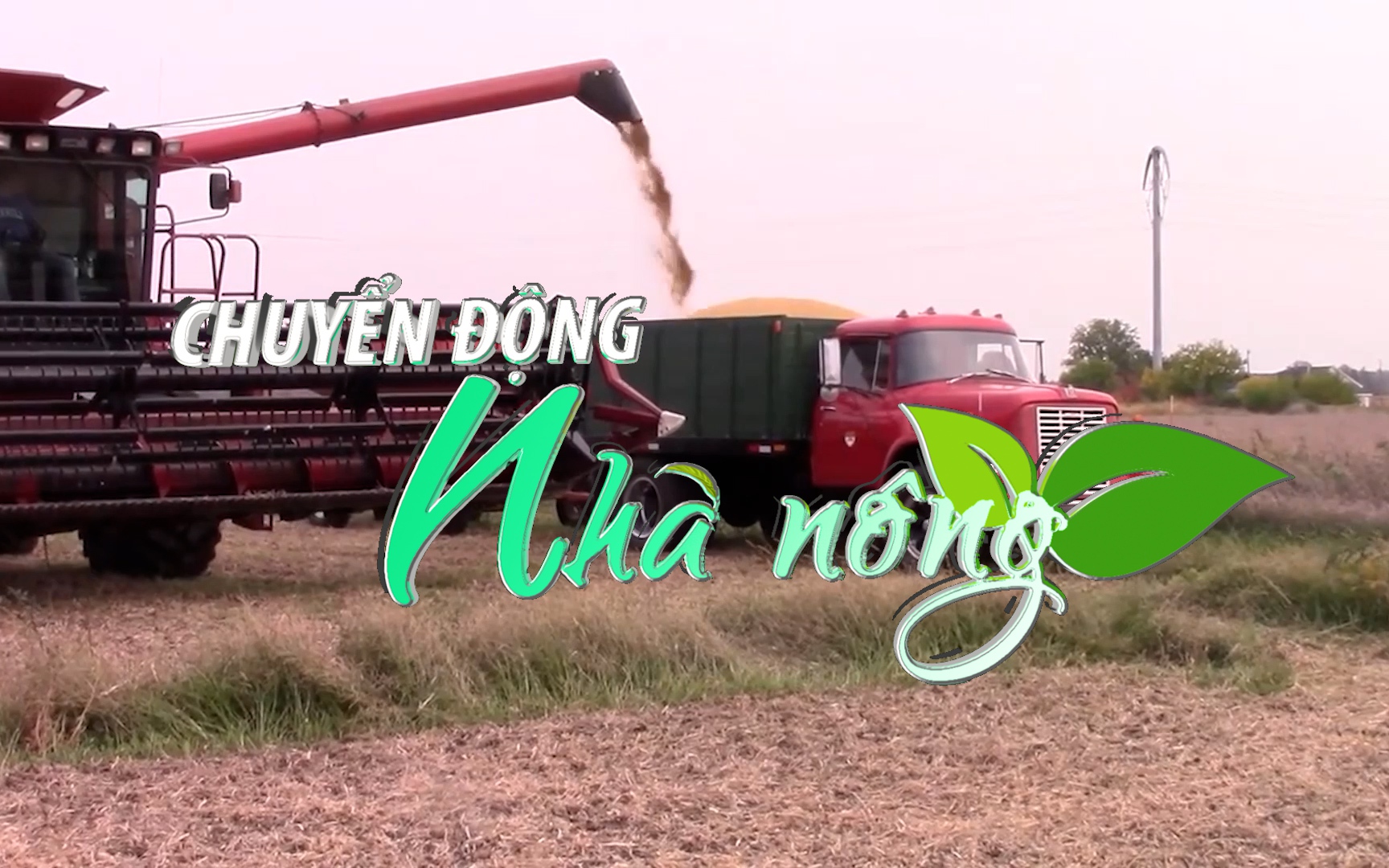 Chuyển động Nhà nông 30/10: Nga sẵn sàng cung cấp 500.000 tấn ngũ cốc cho các nước nghèo nhất