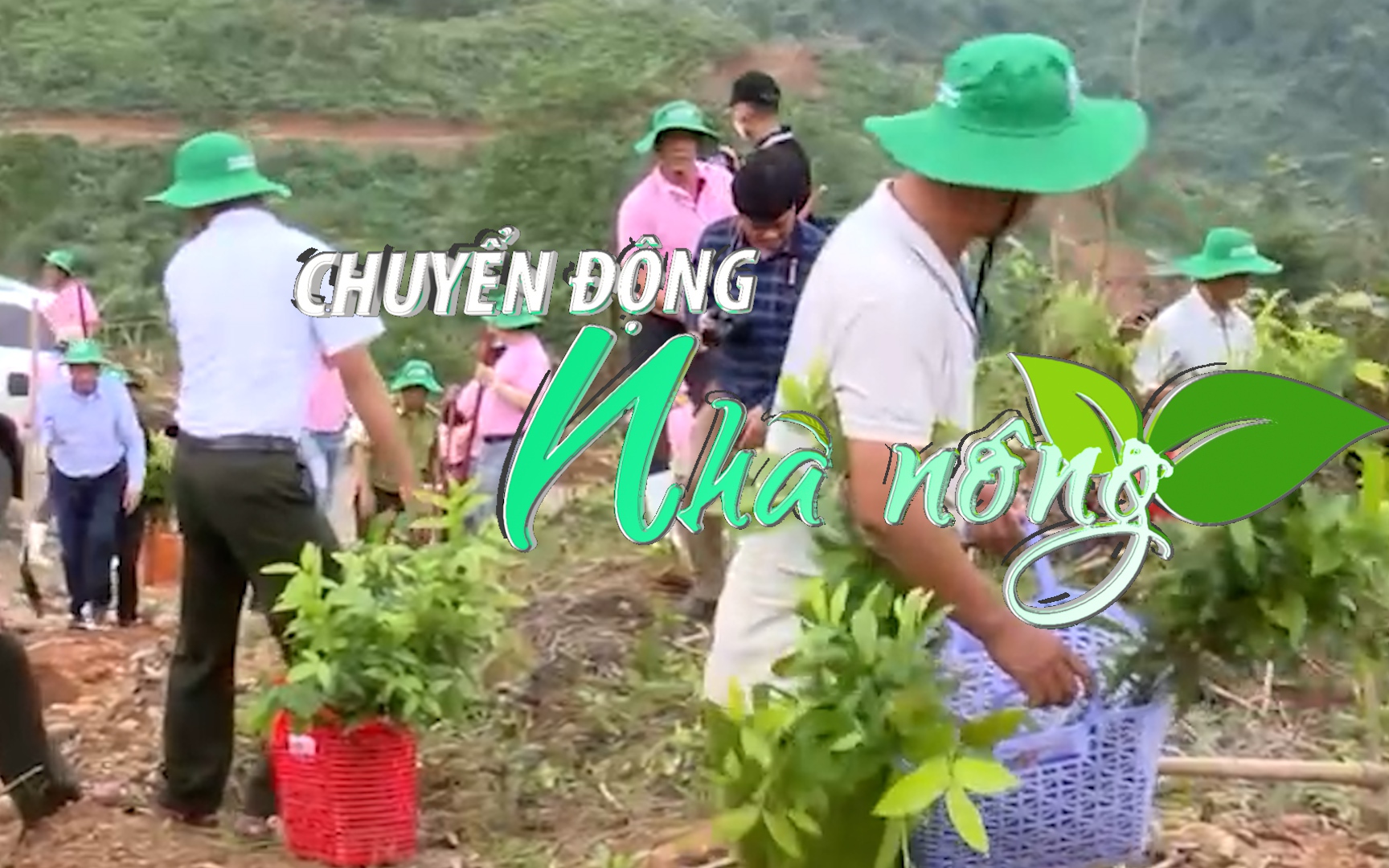 Chuyển động Nhà nông 2/11: Trồng 25.000 cây xanh bản địa tại khu vực Rào Trăng 3