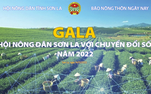 [TRỰC TIẾP]: Gala 