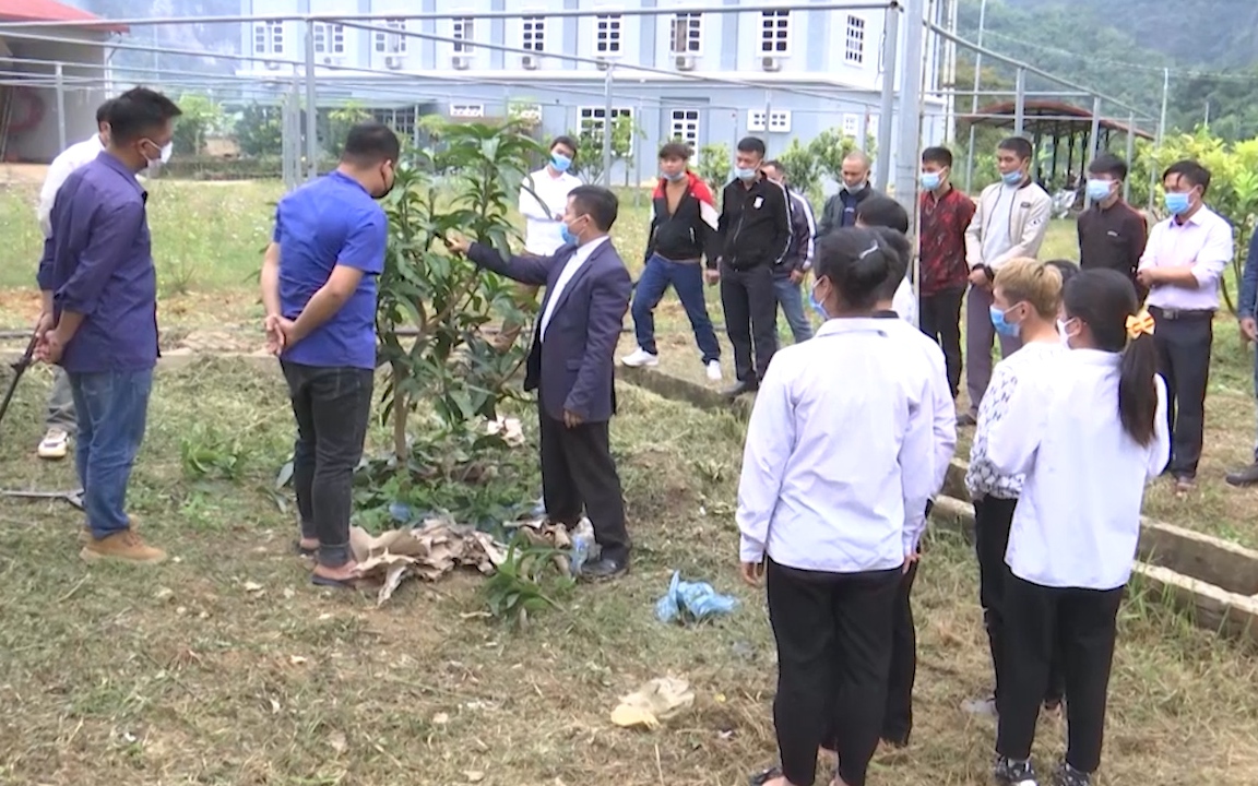 Đẩy mạnh đào tạo nghề cho lao động nông thôn ở Sơn La