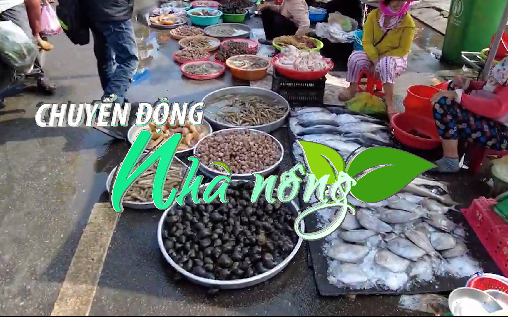 Chuyển động Nhà nông 6/2: Nhiều loại hải sản miền Tây đắt hàng ngày mùng 6 Tết