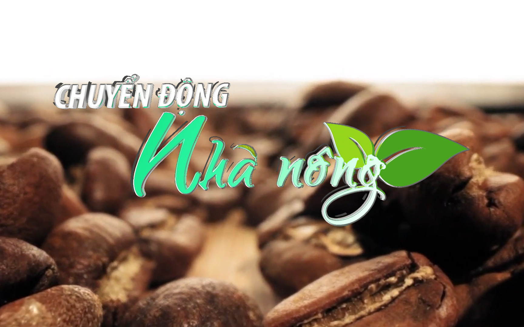 Chuyển động Nhà nông 10/3: Xuất khẩu cà phê sang Nga có nguy cơ bị gián đoạn do xung đột